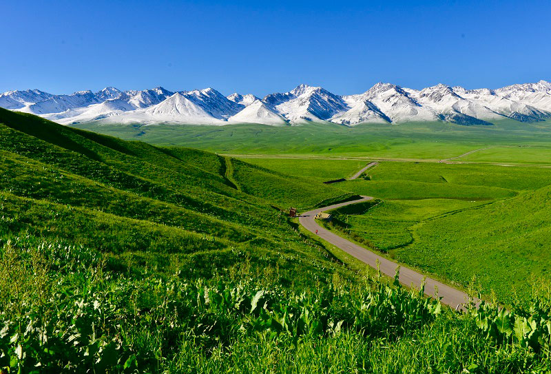 去新疆旅遊安全嗎？