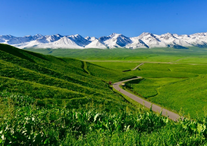 新疆旅遊